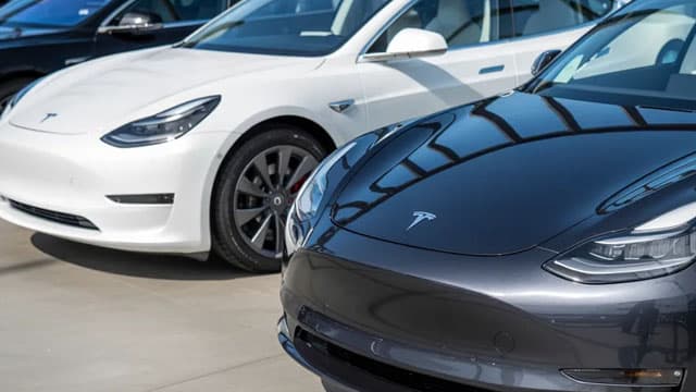 Tesla French car registrations triple in March