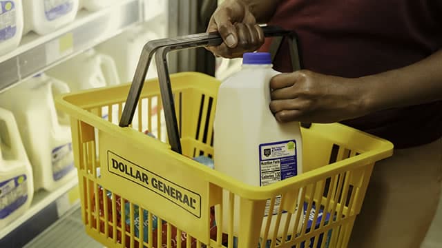 Dollar General raises annual profit forecast on resilient demand for discount goods